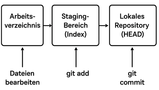 „Flussdiagramm des Git-Prozesses: Arbeitsverzeichnis → Staging-Bereich (Index) → Lokales Repository (HEAD), mit Rückpfeilen für ‚Dateien bearbeiten‘, ‚git add‘ und ‚git commit‘.“