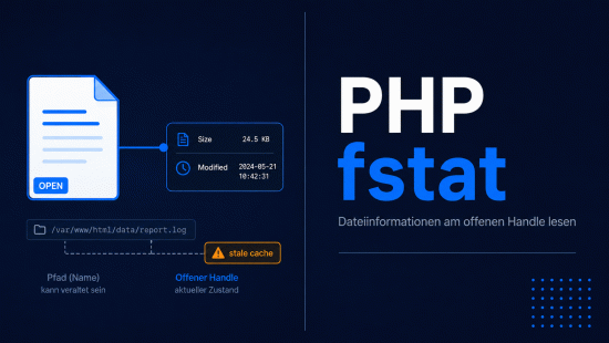 Illustration zum Tutorial: PHP fstat(): Dateiinformationen am offenen Handle lesen